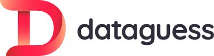 Dataguess logo