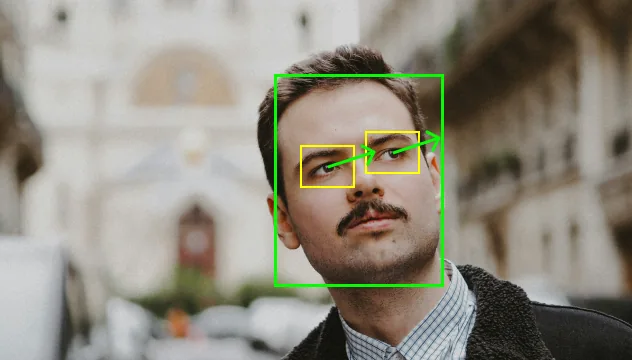 Gaze Estimation ADAS
